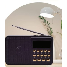 RADIO FM RICARICABILE CON SUPPORTO USB/MICROSD NERA CR-380