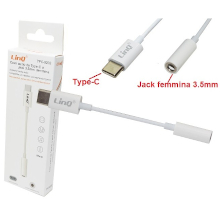 CAVO DA TYPE-C A JACK AUDIO 3,5 FEMMINA